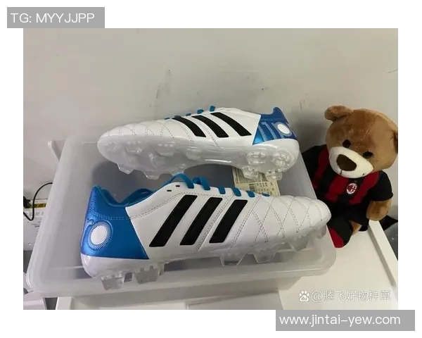 各类足球明星推荐的专属足球鞋品牌及选择技巧分析