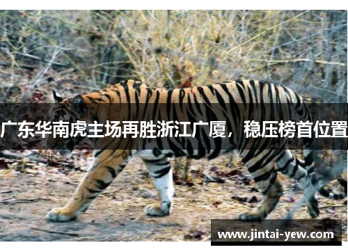 广东华南虎主场再胜浙江广厦，稳压榜首位置